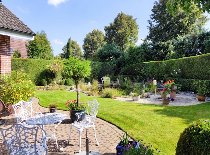 Blick in den sonnigen Garten