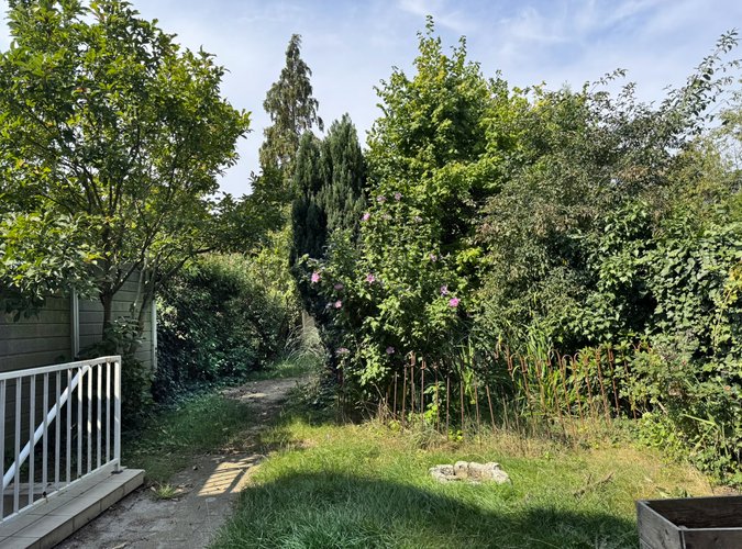 Blick in den Garten