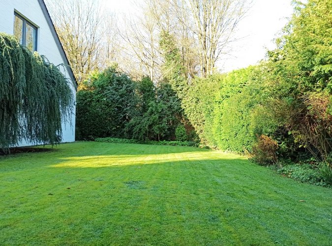 riesiger Garten