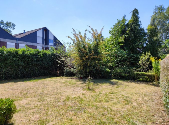 riesiger Garten