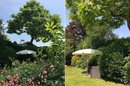 Uneinsehbarer Freiplatz zwischen Lorbeersträuchern