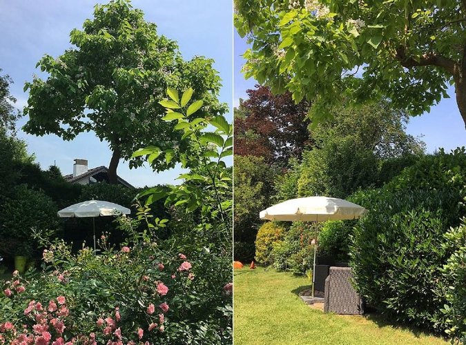Uneinsehbarer Freiplatz zwischen Lorbeersträuchern