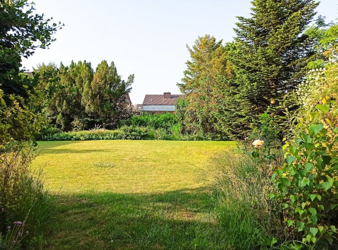 viel Sonne und Platz im Garten