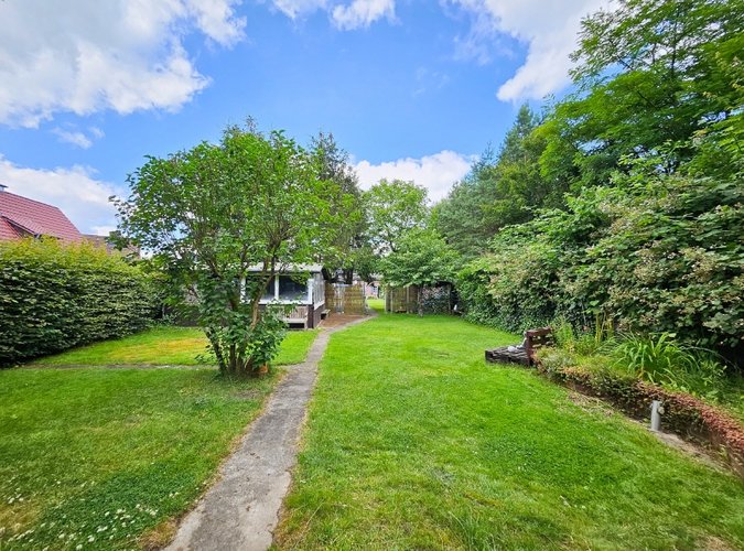 Blick aus dem hinteren Grundstücksbereich