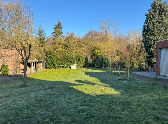 riesiges Grundstück