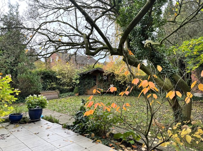 Blick von der Terrasse