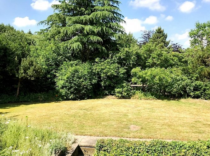 Hinterer Garten