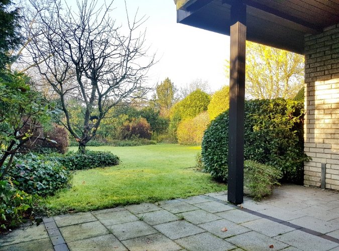 Blick in den Garten